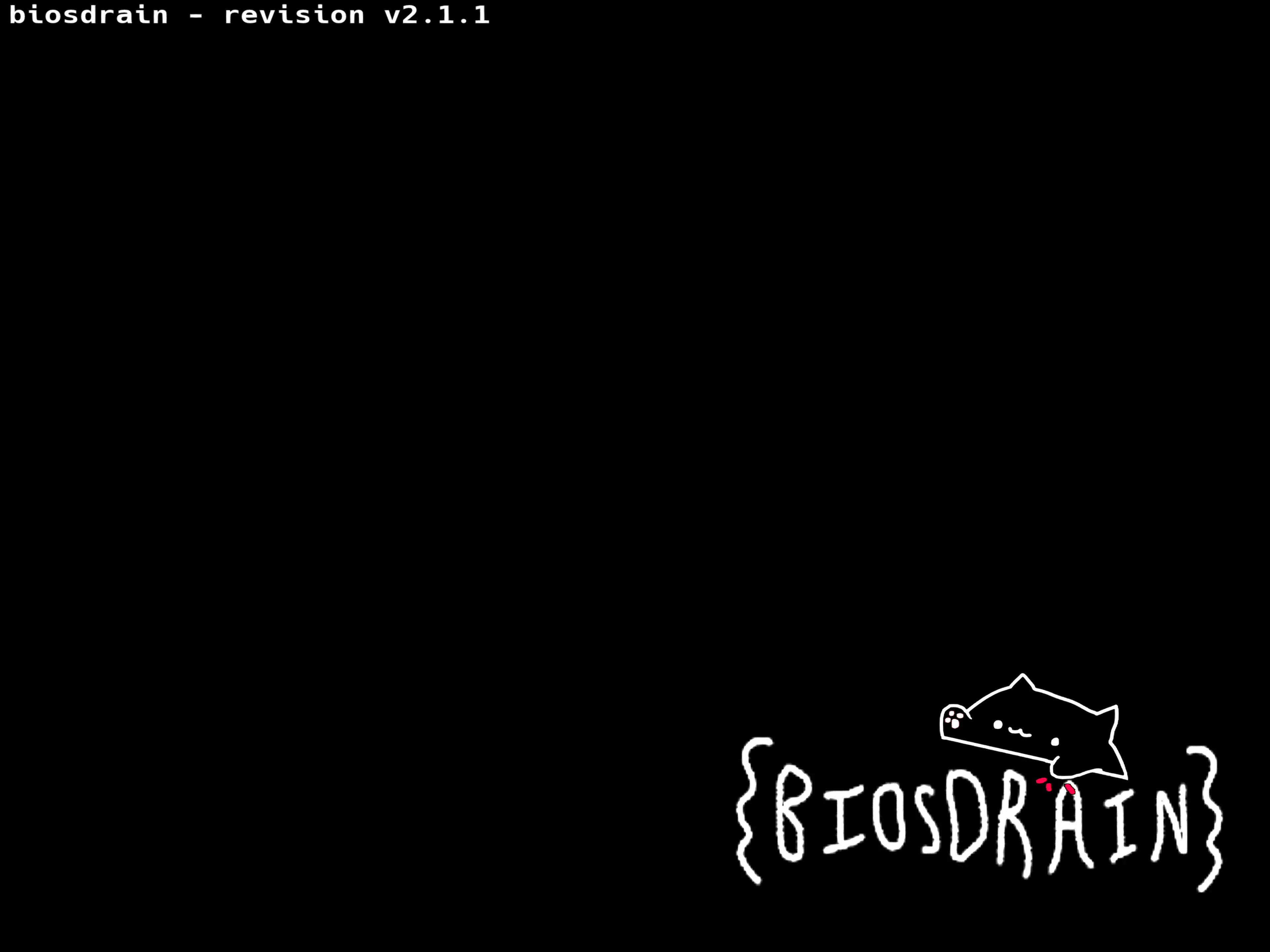 A mostly black screen reads biosdrain - revision v2.1.1 in the upper-right. The biosdrain logo in the bottom-right features the text {BIOSDRAIN} and has a picture of the Bongo Cat meme.